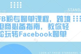 FB粉专聊单实操教程 跨境电商Facebook运营全流程学习指南