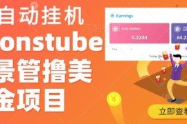 Visionstube愿景管赚美金项目详解 单设备单日可赚30-50美金