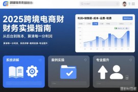2025跨境电商财务实操指南 做账核算利润计算全流程教学
