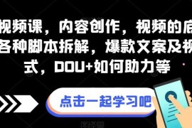 抖音短视频创作全案课 含底层逻辑爆款打造DOU+投放实操