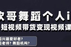 抖音舞蹈账号运营全指南 个人IP打造及变现实操教程