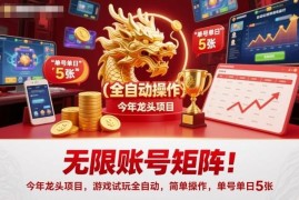 2024全自动游戏试玩账号矩阵项目 操作方法及收益情况详解