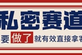 小红书抖音私密赛道引流获客方法 自热矩阵日引200+实操教程
