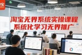 淘宝无界系统推广实操课程 系统化掌握投流运营全流程技巧
