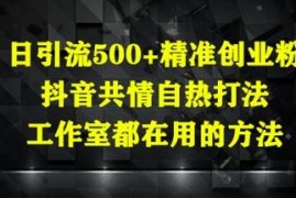 2025抖音精准创业粉引流方法 工作室共情打法日引500+实操