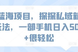 探探私域引流蓝海项目实操 单人一部手机可操作日入500+