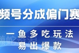2024视频号创作者分成计划偏门类目 操作简单易爆流收益可观