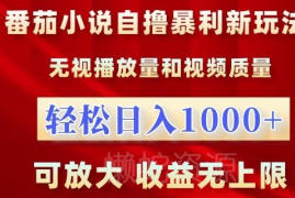 番茄小说低门槛半自动化赚钱玩法 无需高播放操作简单可放大收益