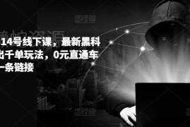 拼多多6月14号线下运营课 0元直通车起爆链接日出千单玩法