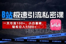 B站创业粉精准引流实操教程 新手可落地的高效获客玩法