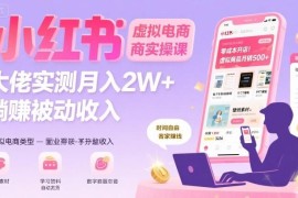 小红书虚拟电商实操玩法详解 轻成本即可搭建被动收入渠道