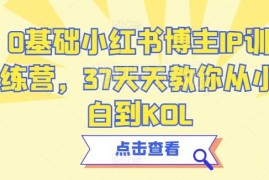 0基础小红书博主IP训练营 37天从小白进阶KOL系统课程