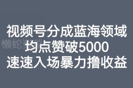 视频号分成计划蓝海赛道玩法 低竞争高赞适合个人副业及工作室