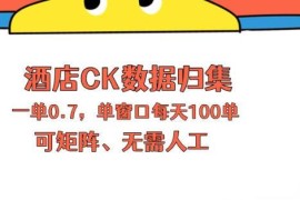 适合上班族操作的酒店数据归集项目 单人可开展矩阵运营