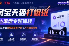 淘宝天猫达摩盘专题实操课 全维度数据分析及人群运营落地方法