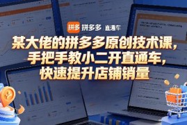 拼多多直通车实操系统课程 手把手教商家优化推广提升店铺销量
