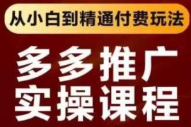 拼多多推广实操系统课程 从小白到精通付费玩法全攻略
