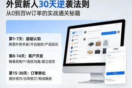 外贸新人30天从0到1进阶指南 AI+社媒获客拿订单实操教程