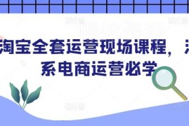 2025淘宝全套运营实操课程 淘系电商运营从入门到进阶教程