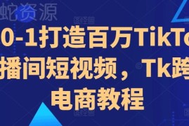 从0到1搭建TikTok直播间短视频 Tk跨境电商运营实操教程