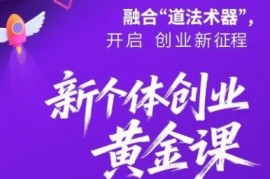 2025新个体创业道法术器四维课程 红利抢占实操方法指南