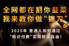 2025年普通人知识付费实操指南 从入门到盈利全攻略