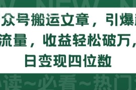 个人公众号发拆解文引流私域 低门槛变现副业项目玩法详解