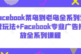 Facebook从新手到精通运营玩法及专业广告投放全系列教程
