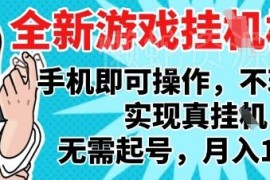 2025独家单手机全自动游戏搬砖 无需操作月入过万玩法揭秘