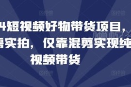 2024短视频好物带货实操指南 无需实拍靠混剪实现纯视频带货