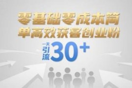 零基础零成本高效获客技巧 引流创业粉可实现日引流30+