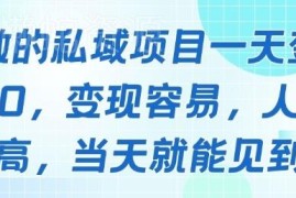 2025低门槛私域负债人群变现项目 操作简单单日收益可达数千元