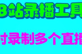 B站多直播间自动录制工具使用教程 附配套录制脚本资源
