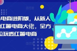 小红书电商从新人入门到进阶高手全链路运营实操指南