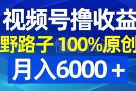 视频号低竞争原创收益玩法 高爆款率副业月入6000+实操分享