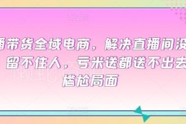 直播带货全域电商运营指南 解决直播间流量留存转化各类难题