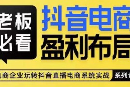 抖音电商全域布局打法详解 商家长效盈利运营实用指南