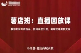 小红书薯店运营直播课 开店选品引流卖货全流程实操教学