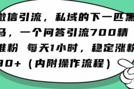 微信问一问引流实操教程 用AI每天1小时可日引百名精准创业粉