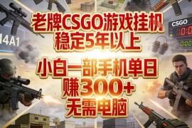 运营超5年的CSGO饰品捡漏项目 小白用手机即可单日稳定盈利