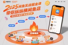 2025零起点闲鱼实战掘金课 多维度打造闲鱼运营全能玩家