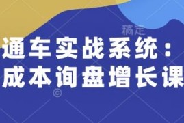 直通车实战系统课程 个人运营提能升职 企业低成本询盘获客教程