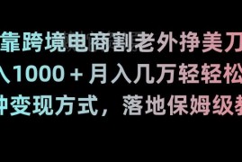 跨境电商TK无货源搬砖保姆级教程 多变现方式新手可落地赚美刀