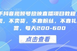 快手抖音视频号放映直播项目教程 零粉丝无违规副业实操指南