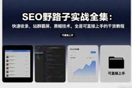 SEO野路子实战全集 快速收录站群霸屏黑帽实操干货教程