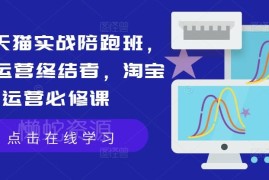 2024淘宝天猫实战陪跑班 店铺运营实操技能系统必修课