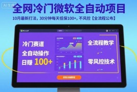 10月微软全自动挂机项目最新打法 每日半小时日入百元低风险教程