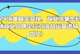 2024商业流量变现指南 品牌定位与引流品运营逻辑详解