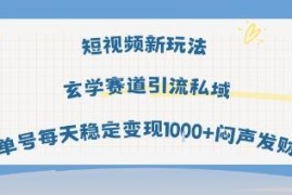 短视频玄学赛道AI玩法教程 私域引流单号日均变现千元实操