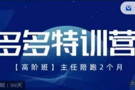 2023纪主任多多特训营高阶班 拼多多最新运营玩法实操教程